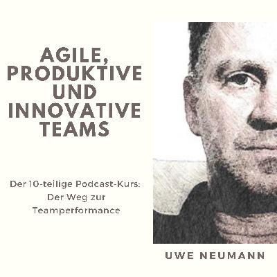 3 Teammanagement und Teamleadership - oder die Erfolgsfaktoren von Google Teams