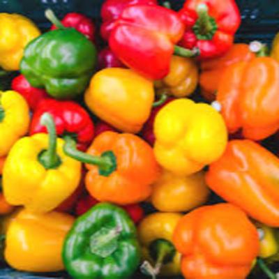 SWEET PEPPERS