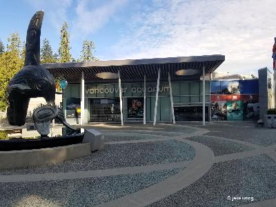 Vancouver Aquarium Ticket and an Audio Stroll Through Stanley Park