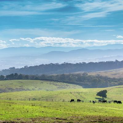 Latrobe City gearing up for a wave of major events Latrobe City gearing up for a wave of major events