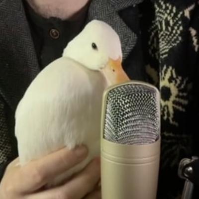 Episode 4 - Photography and Disability