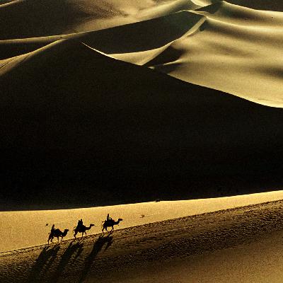 颜长江说摄影⑥ | 说一说唯美摄影