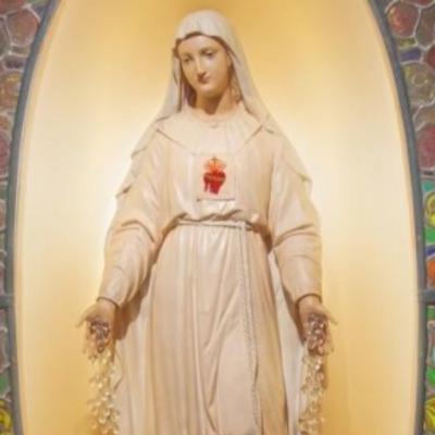 Nuestra Señora toda Misericordia de Pellevoisin: 14 de febrero - con Jhonatan Alarcón