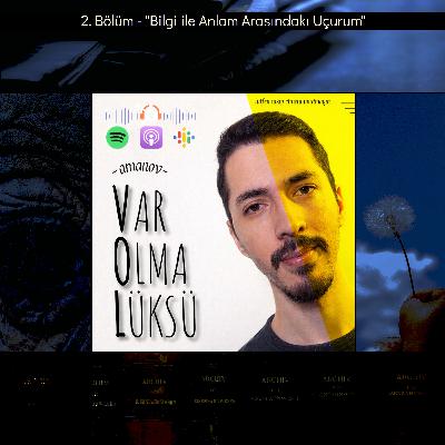 2) Bilgi ile Anlam Arasındakı Uçurum