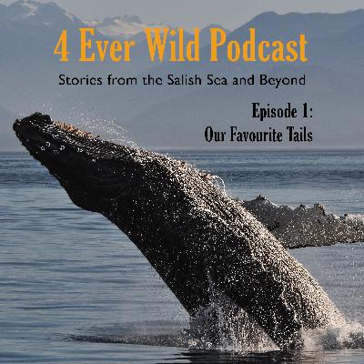 Episode 1: Our Favourite Tails Episode 1: Our Favourite Tails
