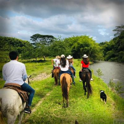 ¿Prohibición o reglamentación? La postura de Fedequinas