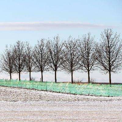 Warum in diesem Winter kaum Schneefangzäune aufgebaut wurden Warum in diesem Winter kaum Schneefangzäune aufgebaut wurden