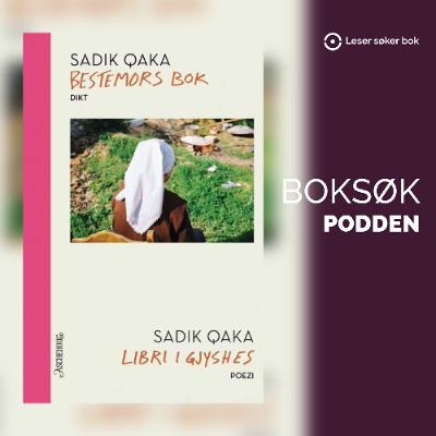«Bestemors bok» av Sadik Qaka