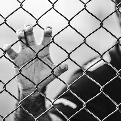 Prison Break 👮🏽‍♂️🔐