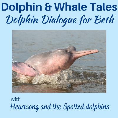 4 Dolphin Dialogue for Beth
