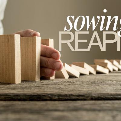 Sowing & Reaping