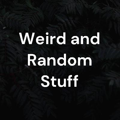 Constitution Project For School