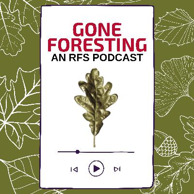 Mental Health in Forestry: Breaking the Silence Mental Health in Forestry: Breaking the Silence