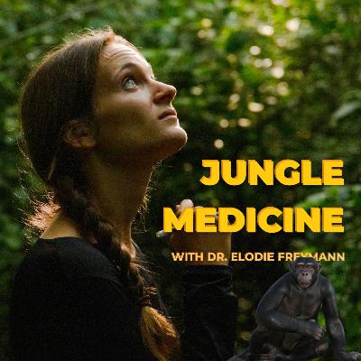 Jungle Medicine — How Wild Chimpanzees Are Healing Themselves with Dr. Elodie Freymann