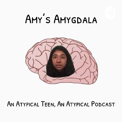 Amy’s Experience with Online School