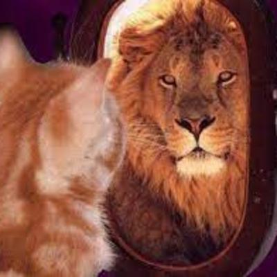 Prove Yourself Wrong Instead of Others Prove Yourself Wrong Instead of Others