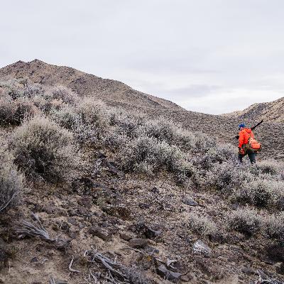 77: The How and Why of Long Duration Aerobic Training for Hunters