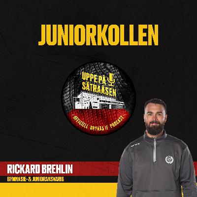 Juniorkollen!