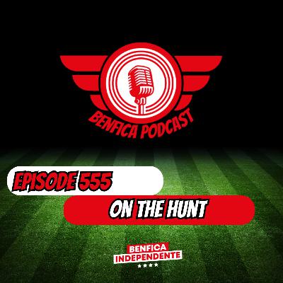Episode 555 - On the Hunt