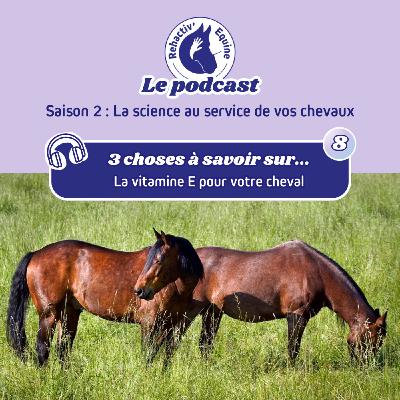 3 choses à savoir sur la vitamine E