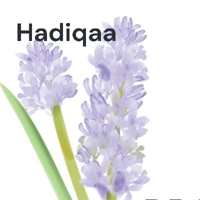 Grow your own food in the Gulf - Selecting variety and seeds Grow your own food in the Gulf - Selecting variety and seeds