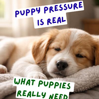 Episode #3.1 - Bringing a Puppy Home: Why Emotional Safety Matters More Than Training