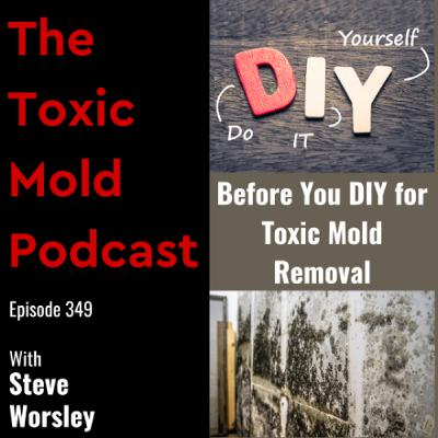 EP 349: Before You DIY for Toxic Mold Removal EP 349: Before You DIY for Toxic Mold Removal