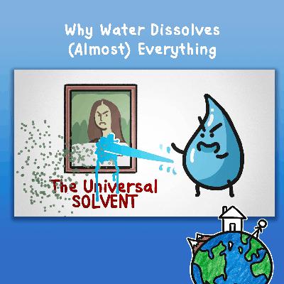 Why Water Dissolves (Almost) Everything
