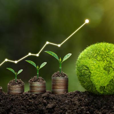 ESG Investing in 2026: Future-Proof Strategies for Climate and Capital Growth | Crystal Ball Markets ESG Investing in 2026: Future-Proof Strategies for Climate and Capital Growth | Crystal Ball Markets