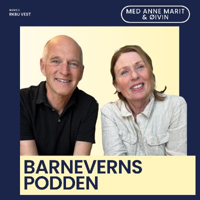 #16 Hvorfor snakker vi så mye om kompleksitet i barnevernet? #16 Hvorfor snakker vi så mye om kompleksitet i barnevernet?