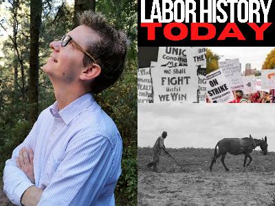 Where’s our Forty Acres And A Mule?