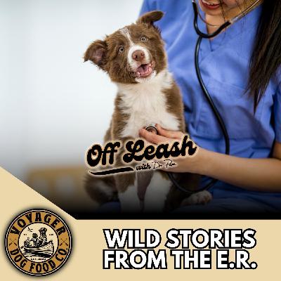 Aden Rohani; Wild Stories From the E.R.