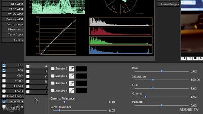 Color Finesse Workflow: Secondary Grading Color Finesse Workflow: Secondary Grading