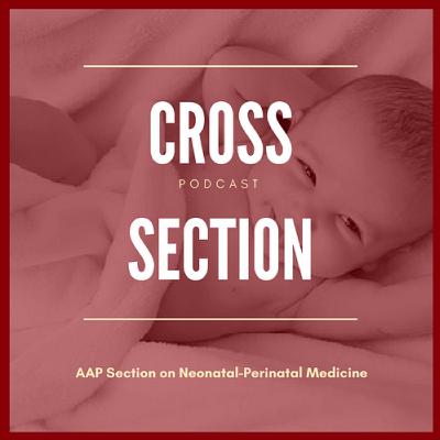 Cross Section - The AAP Annual Leadership Forum (Lily Lou) Cross Section - The AAP Annual Leadership Forum (Lily Lou)