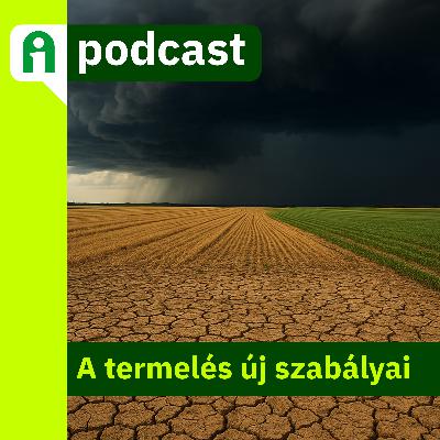 Amikor a túlélés a tét – a termelés új szabályai