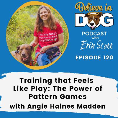 Training That Feels Like Play: The Power of Pattern Games with Angie Haines Madden