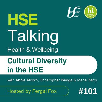 #101 Cultural Diversity in the HSE