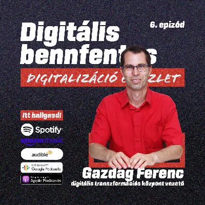"Nagyobb erőfeszítéseket is lehetne tenni a digitalizációért" | Beszélgetés Gazdag Ferenc digitális transzformációs központvezetővel