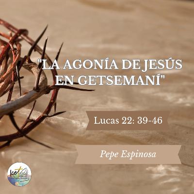 La agonía de Jesús en Getsemaní - Lucas 22: 39-46