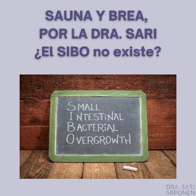 163 - ¿El SIBO no existe? 163 - ¿El SIBO no existe?