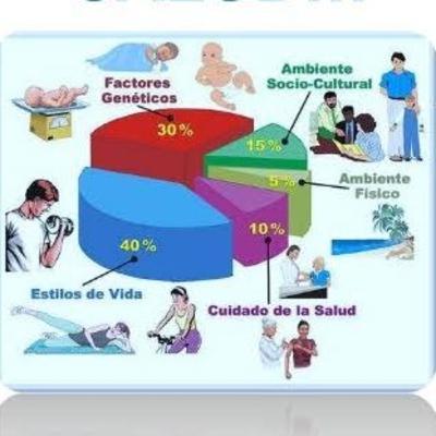 Factores determinantes de la salud