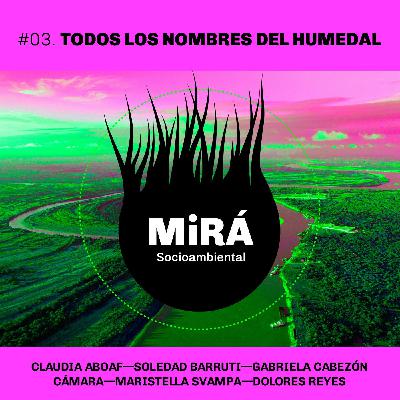 Todos los nombres del humedal