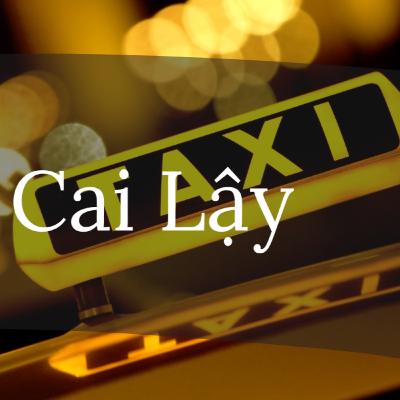 Top 8 Hãng Taxi Cai Lậy Hàng Đầu Cho Hành Trình An Toàn, Thoải Mái