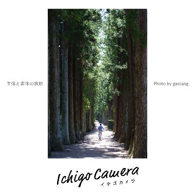 Ep143 お題「50mmレンズの写真」の講評（Haruka・薄明）