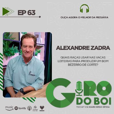 Tudo o que você precisa saber sobre o "beef on dairy", programa chamado de "carne no leite" Tudo o que você precisa saber sobre o "beef on dairy", programa chamado de "carne no leite"