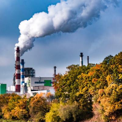 El medio ambiente