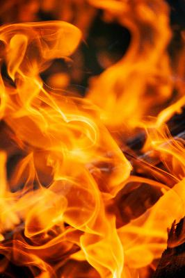While Los Angeles Burns - Who’s Writing Project 2029?