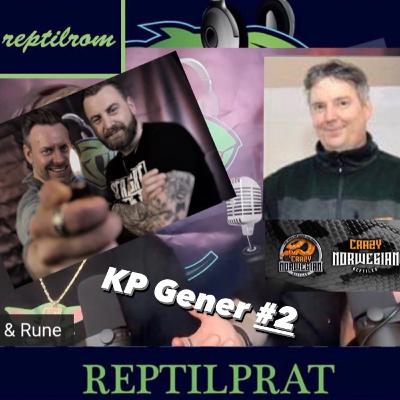 REPTILPRAT #4 Kongepyton gener med Crazy Norwegian Reptiles