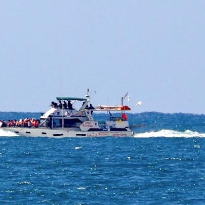 Dubliner Colm Byrne and the next Gaza Flotilla