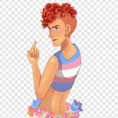 a transgender journey